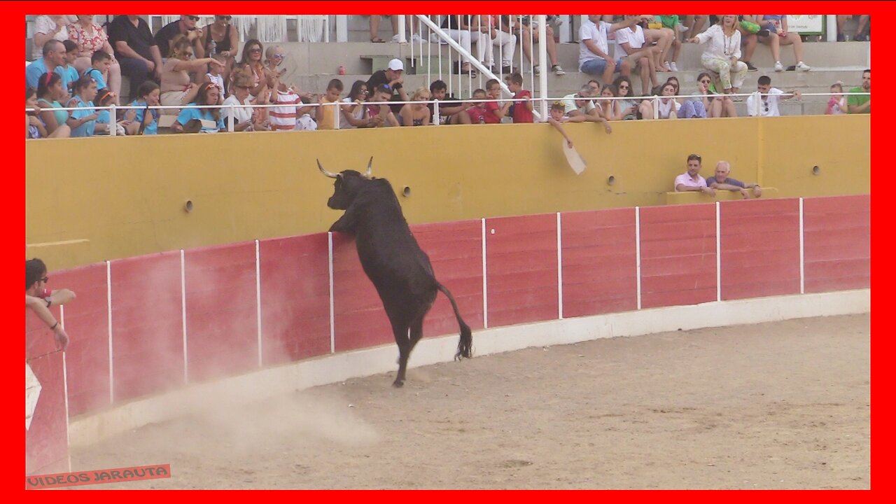 RICLA ( ZARAGOZA ) TARDE VACAS PLAZA ( DOMINGO 23 JULIO 2023 ) GANAD.ARRIAZU