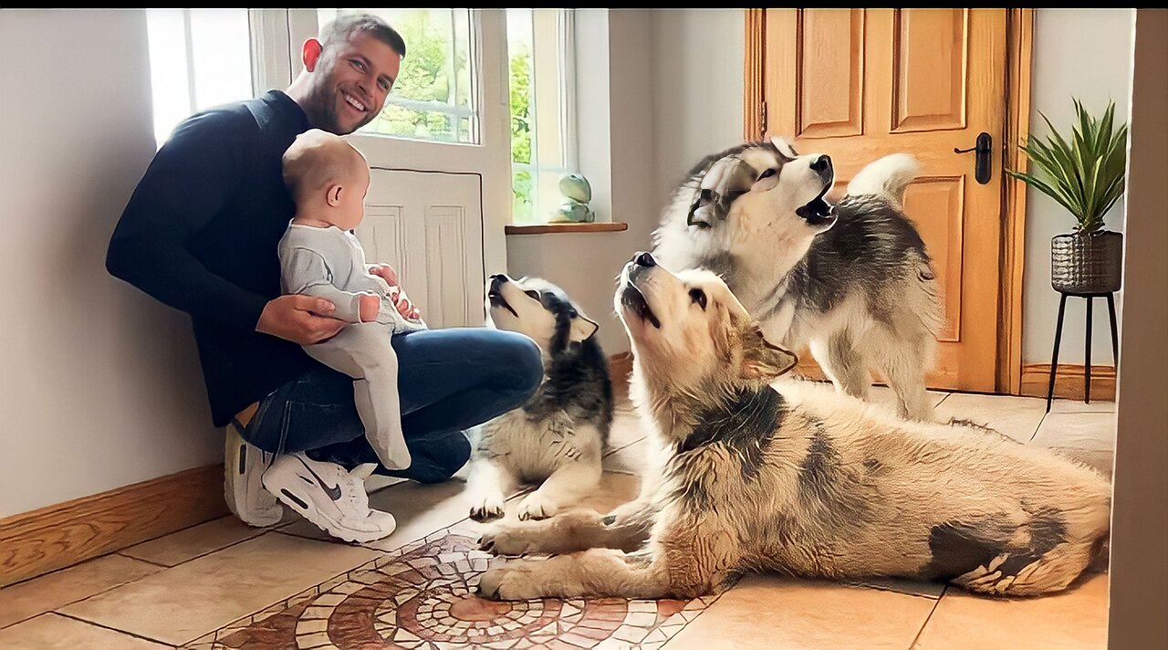 Adorable Baby Boy Teaches His Wolves To Howl! (Cutest Ever!!)
