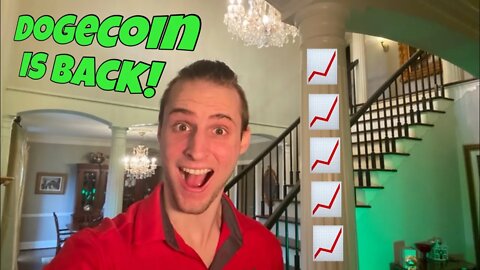 DogeCoin 📈BOUNCING 📈 Back! Future of Cryptocurrency Looking Bright 💰💰💰