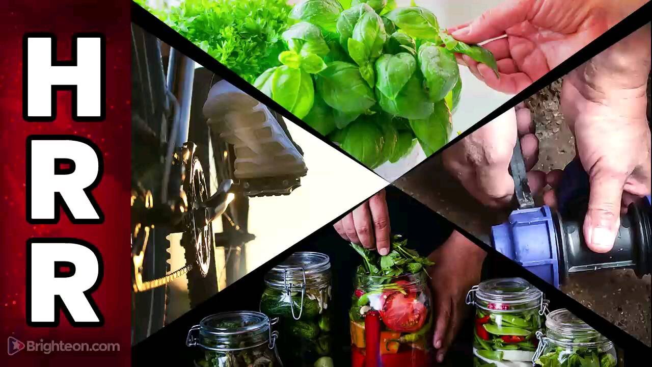 Situation Update, Jan 2, 2023