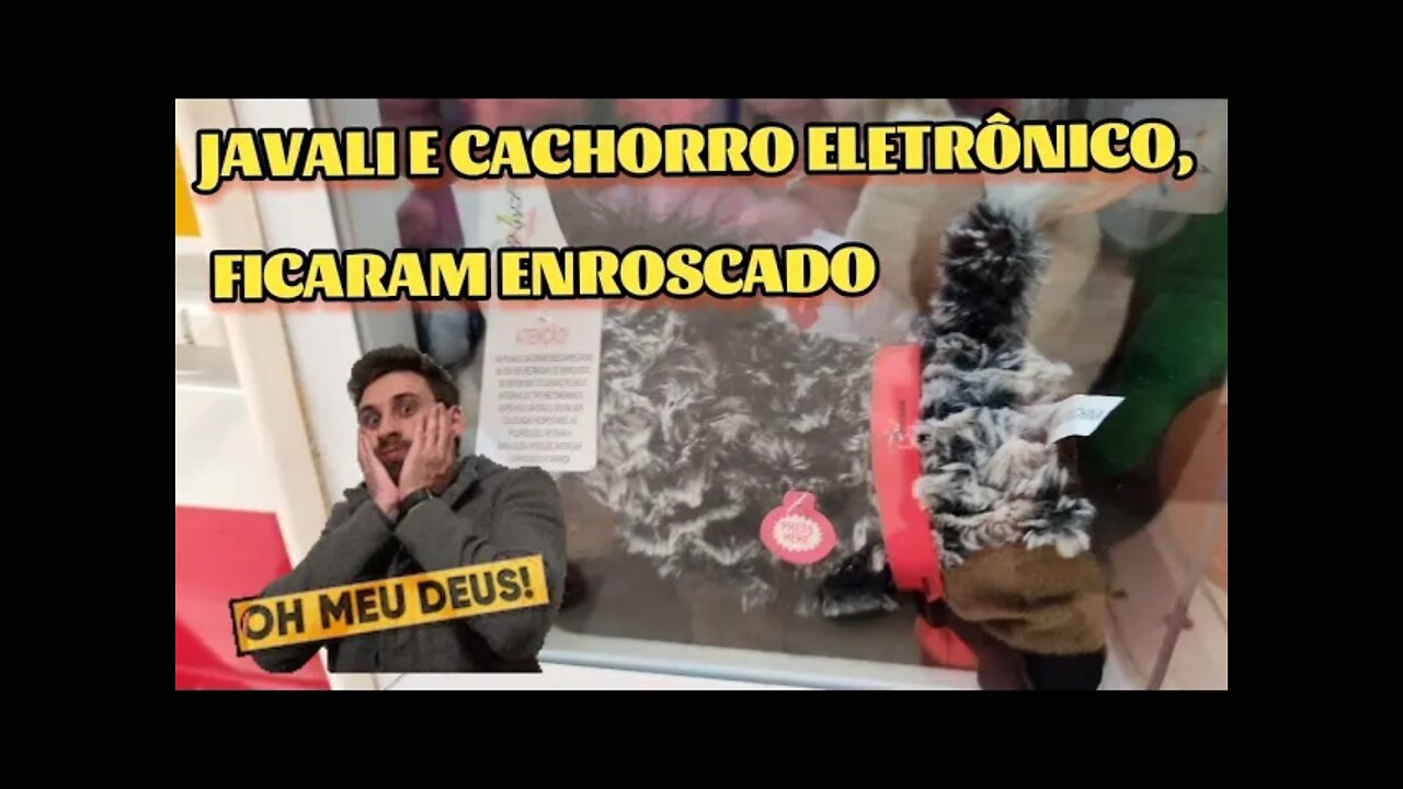 JAVALI E CACHORRO 🐶 ELETRÔNICO FICARAM PRESOS NA CAIXA 😱😱😱