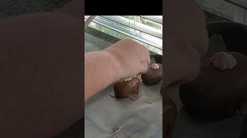Chocolate Covered Easter Eggs