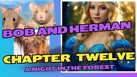 BOB AND HERMAN. CHAPTER 12. A NIGHT IN THE FOREST.