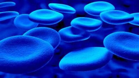 The Truth About Elite Bloodlines-Gary Wayne & Jim Wilhelmsen
