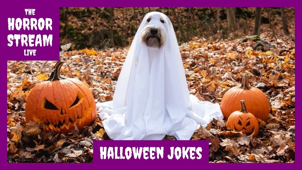 145 Laugh-Out-Loud Halloween Jokes and Riddles for Kids and Adults [Country Living]