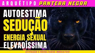 🔴Arquétipo Pantera Negra - Ação- Poder e Sensualidade. V2 de 3min