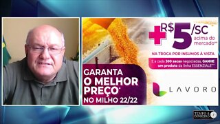 Lavoro garante R$5,00 a mais pela saca de milho em RO e MT. Saiba como garantir esse bônus