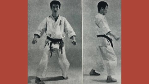 Looking at Sanchin -- the kata and the stance