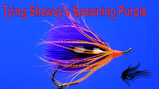 Tying Shewey's Spawning Purple - Dressed Irons