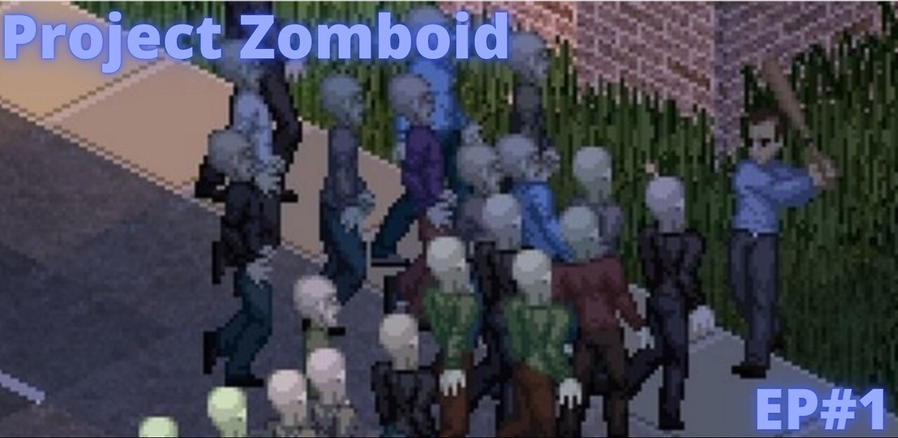 Project Zomboid - E foi assim que eu morri.....