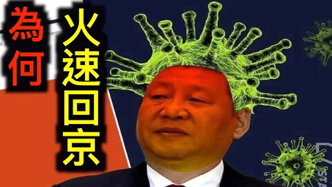 習近平為何火速回京?是否因感染中共病毒?