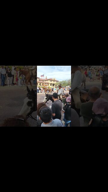 Fort Worth Texas Stockyard Cattle Drive