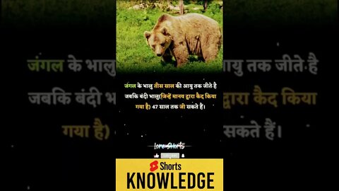 Motivational Quotes Intresting Facts lifestyle & research #shorts #ytshorts #knowledge #motivation