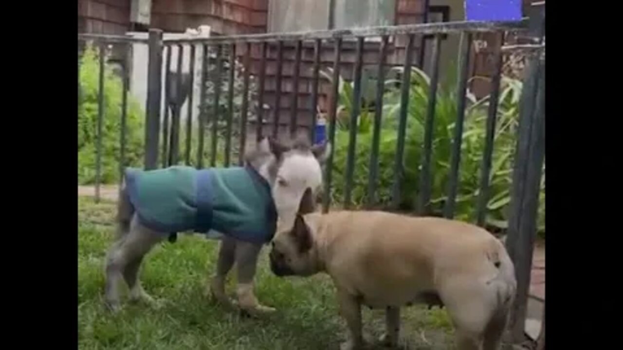 ۱۰ اوت ۲۰۲۲