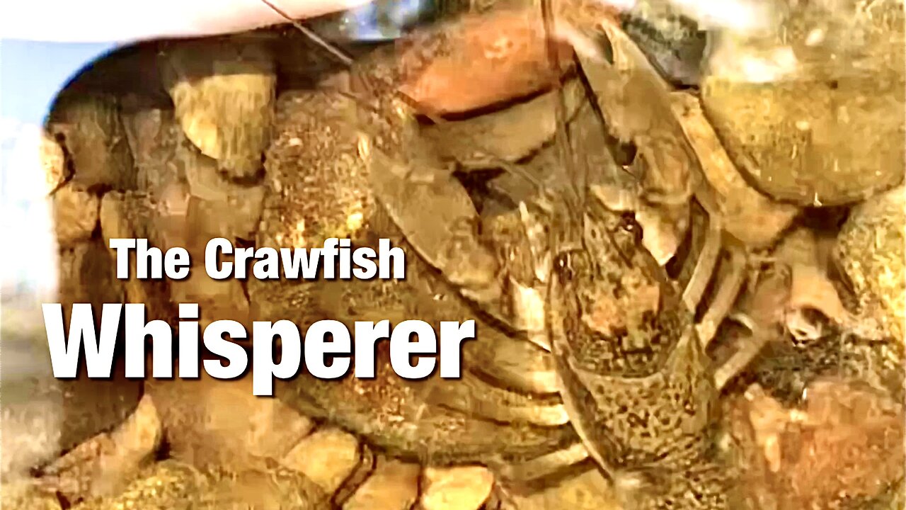 The Crawfish Whisperer