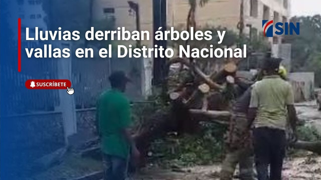 Lluvias derriban árboles y vallas en el Distrito Nacional