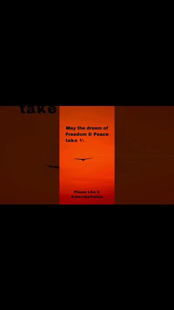 Freedom & Peace