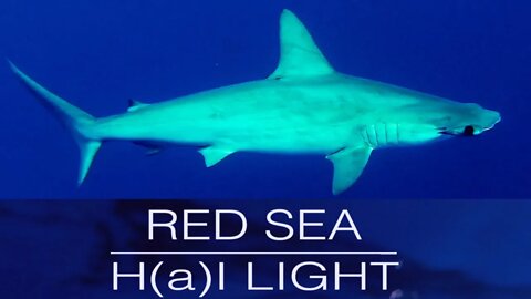 RED SEA H(a)I LIGHT