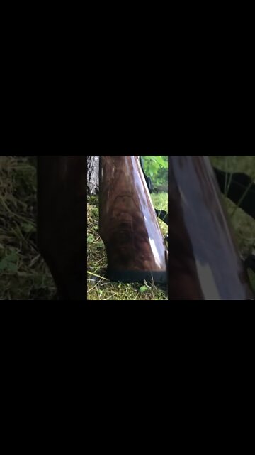 White Gold Medallion 30-06 Browning X-Bolt Hunting Rifle #shorts