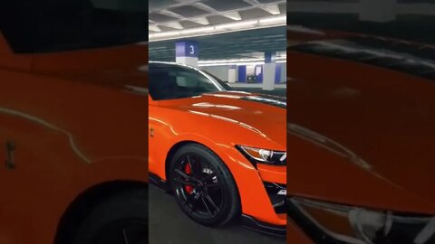 orange Shelby 🔥 #onepercent_clubb #shelby