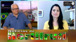 Noticias de Hortifrúti - com Mariana Aranha