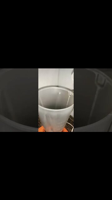 FRANGO GRATINADO 🍗 | Receitas #Shorts