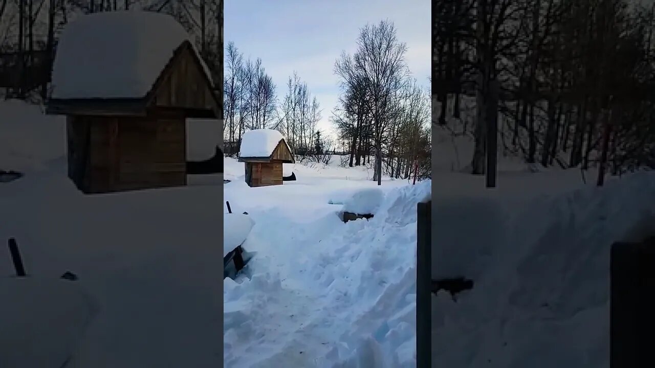 They Keep Saying Democracy, As If That Is Our System