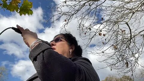 Ps Suzy Antoun God's Testimony Where's their prophet's Prophecy State 1 good thing their prophet did