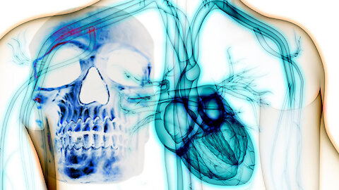 Moderna 2.5x More Heart Issues Than Pfizer