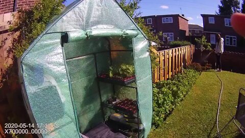 My Garden Mid May 2020