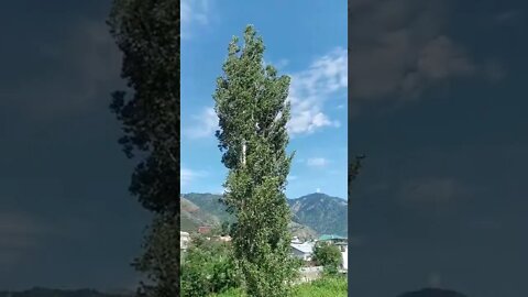 #subscribe #like Beautiful View of Kishtwar after raining #shorts #viral #short #shortsvideo