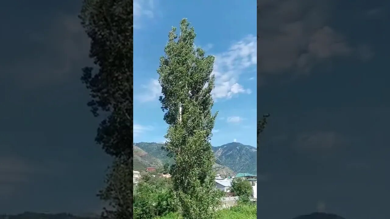 #subscribe #like Beautiful View of Kishtwar after raining #shorts #viral #short #shortsvideo