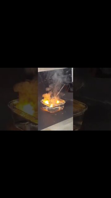 #shorts #2022 funny,prank,funjokes,dad jokes,funny memes,funny video,fun,laughing,funny animal,knock