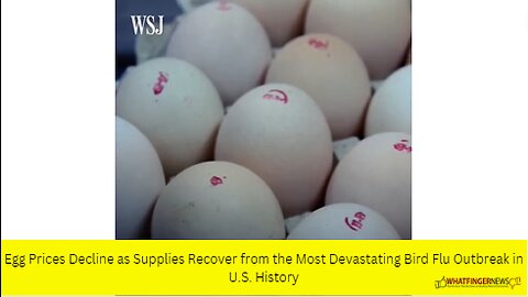 Egg Prices Decline as Supplies Recover from the Most Devastating Bird Flu Outbreak in U.S. History