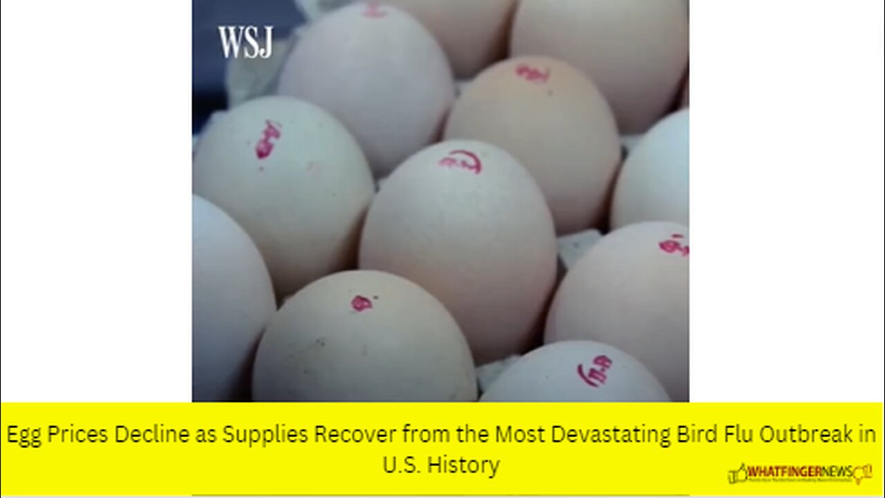 Egg Prices Decline as Supplies Recover from the Most Devastating Bird Flu Outbreak in U.S. History