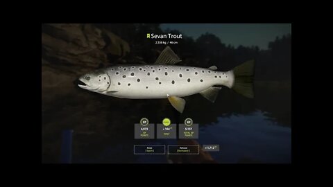 Russian Fishing 4 Kuori lake Sevan Trout 2.558 Kg