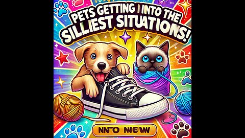 Pets Getting into the Silliest Situations!"
