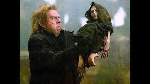 ULTIMATE Harry Potter/Lion King crossover!