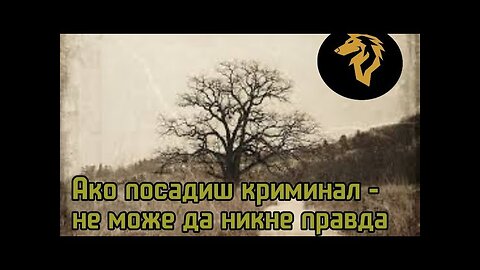 Правдата е за богатите и криминалците...