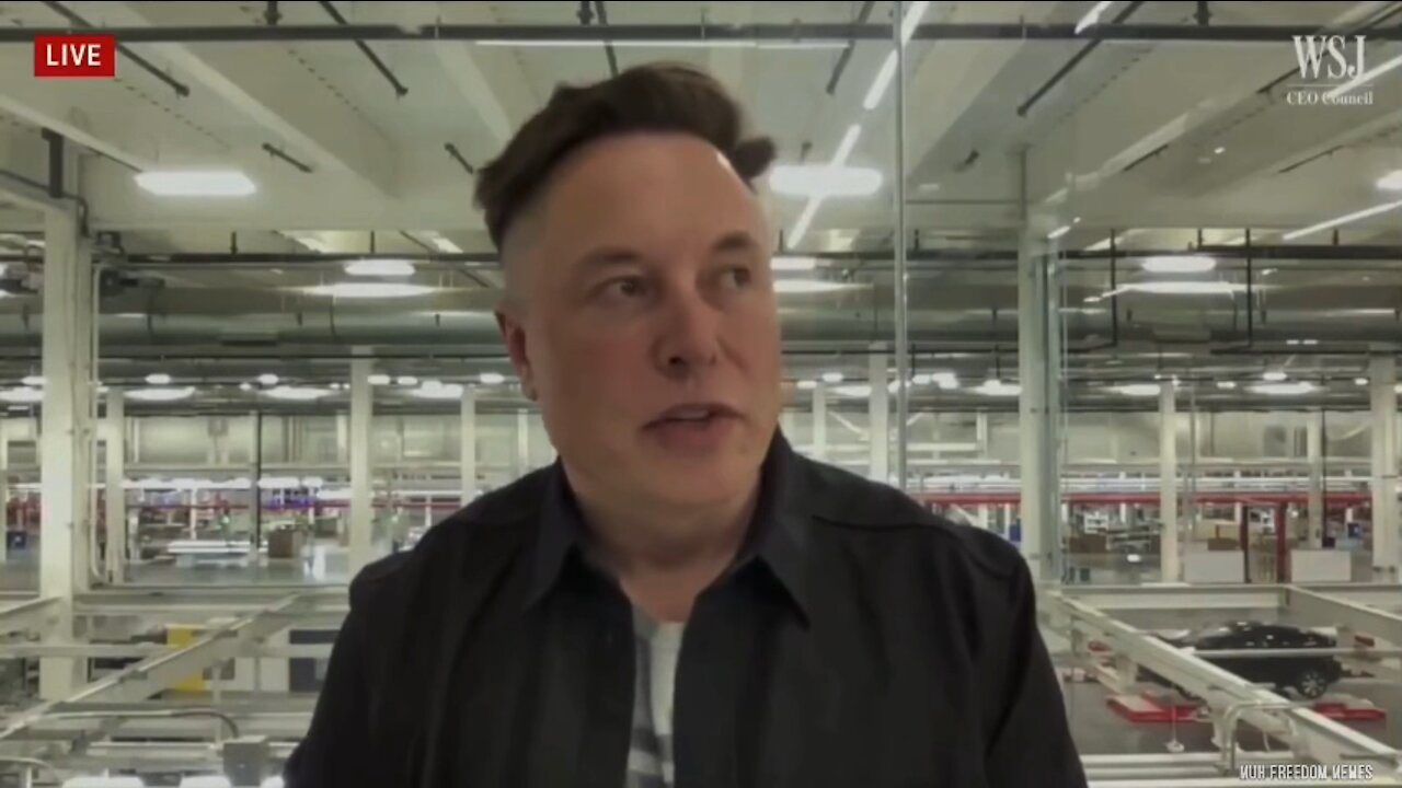 Based Elon