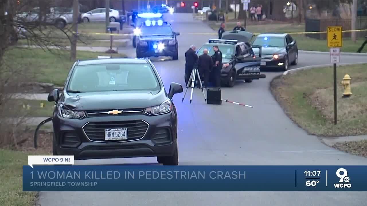 1 dead after pedestrians hit while walking dogs