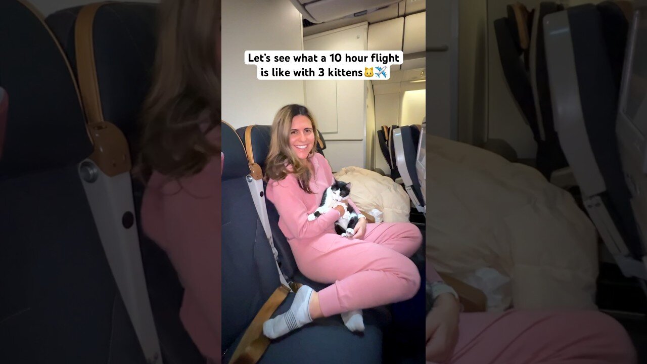 You won’t believe what happens on this plane🥴 flying 10 hours with our 3 kittens #travelcat