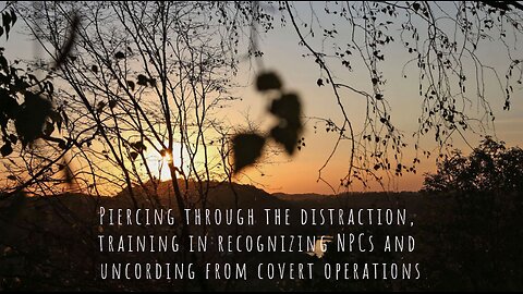 Piercing through the distraction, training in recognizing NPCs and uncording from covert operations