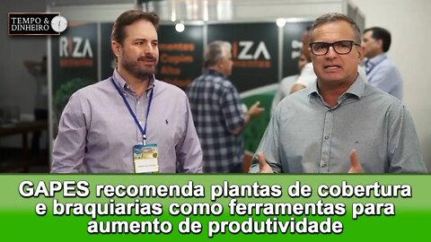 GAPES recomenda plantas de cobertura e braquiarias como ferramentas para aumento de produtividade