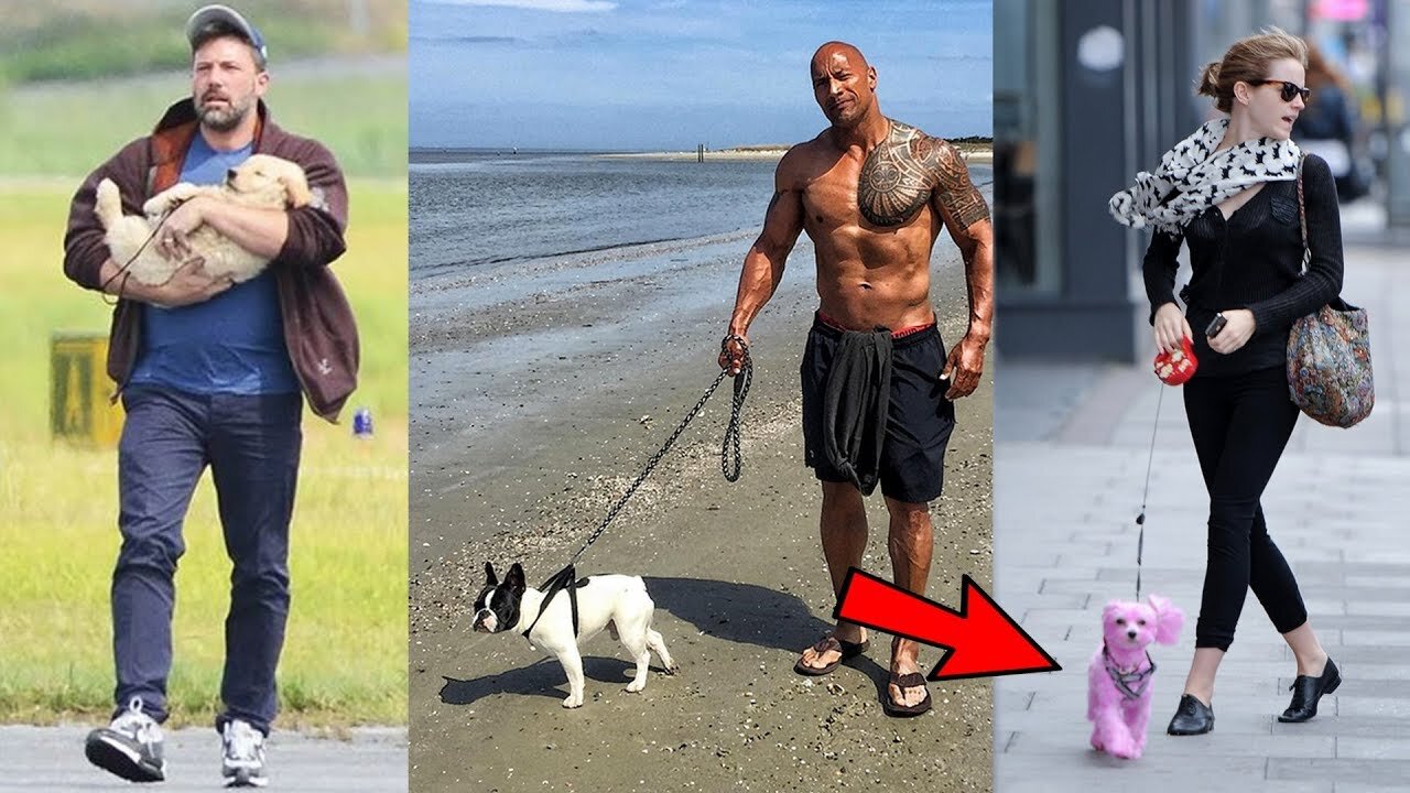 Hollywood Tails: USA's Top Actors and Their Beloved Dogs