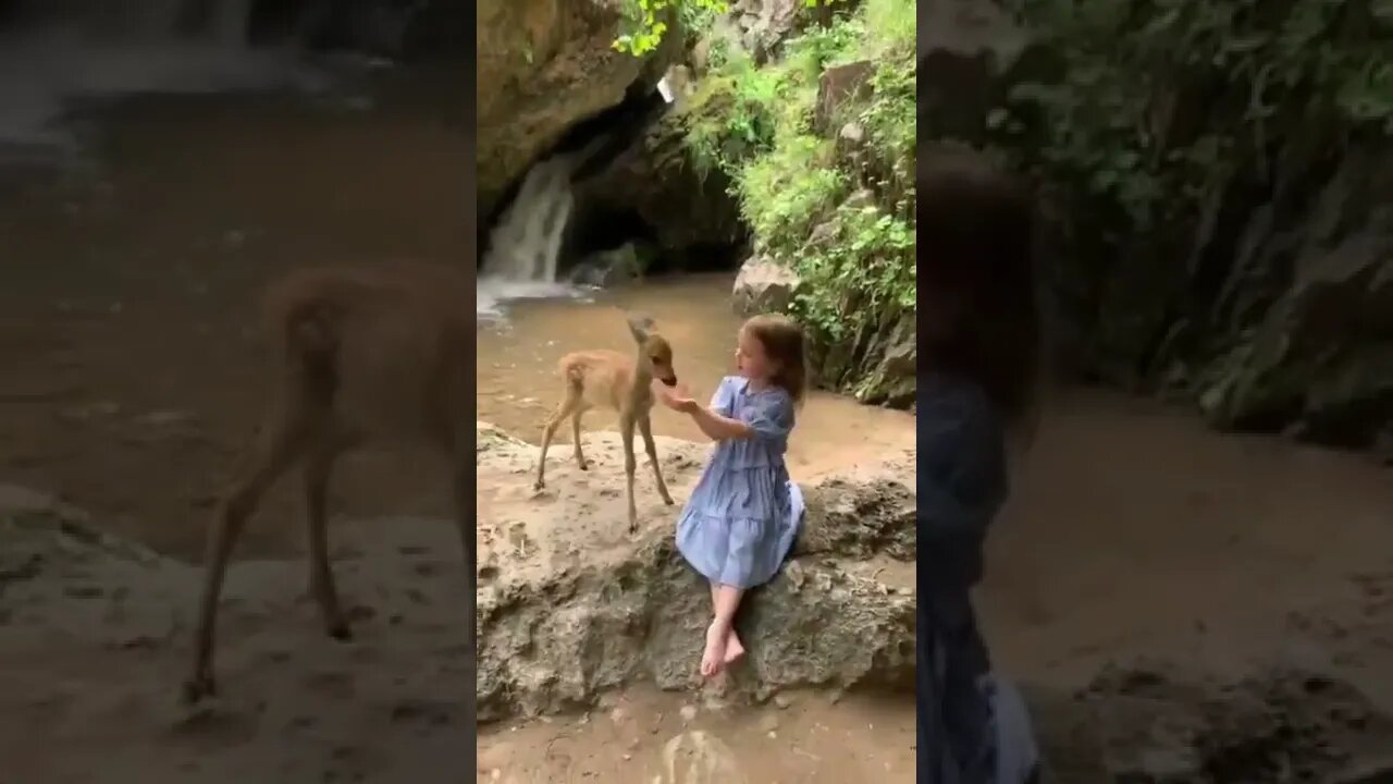 ۶ مارس ۲۰۲۲