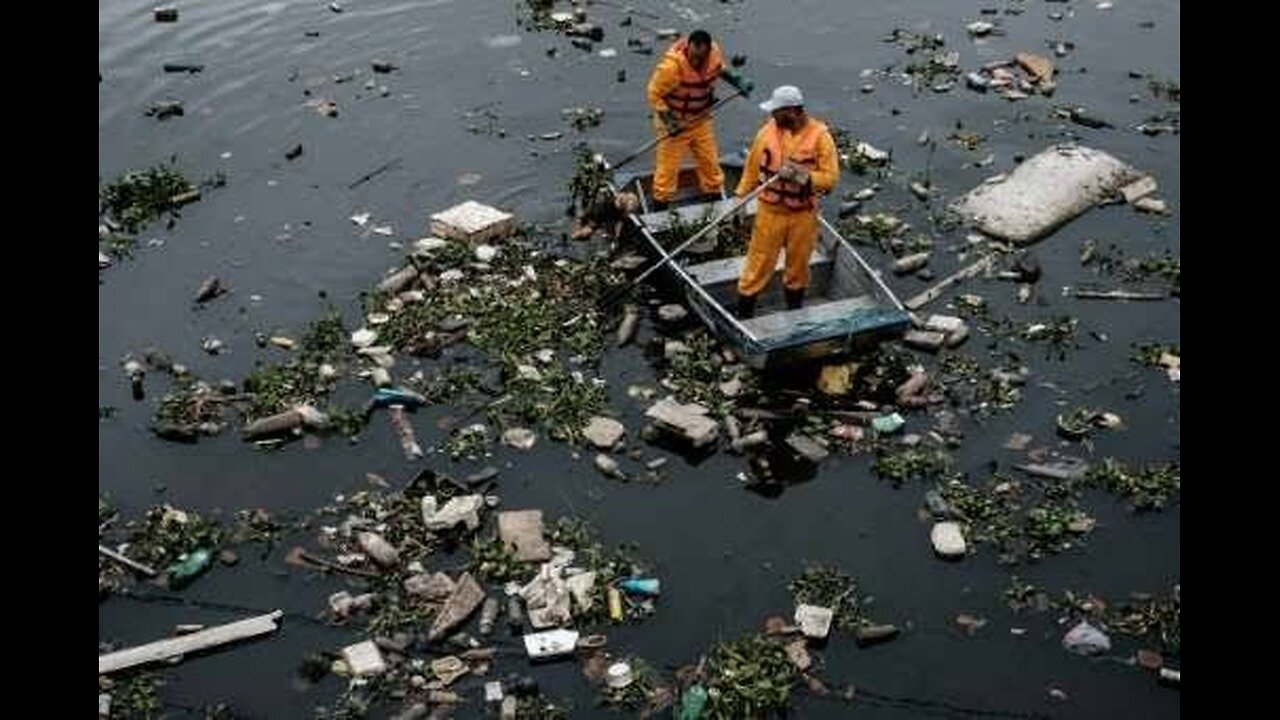 Pollution is the introduction of harmful materials into the environment