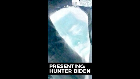 The Life of Hunter Biden