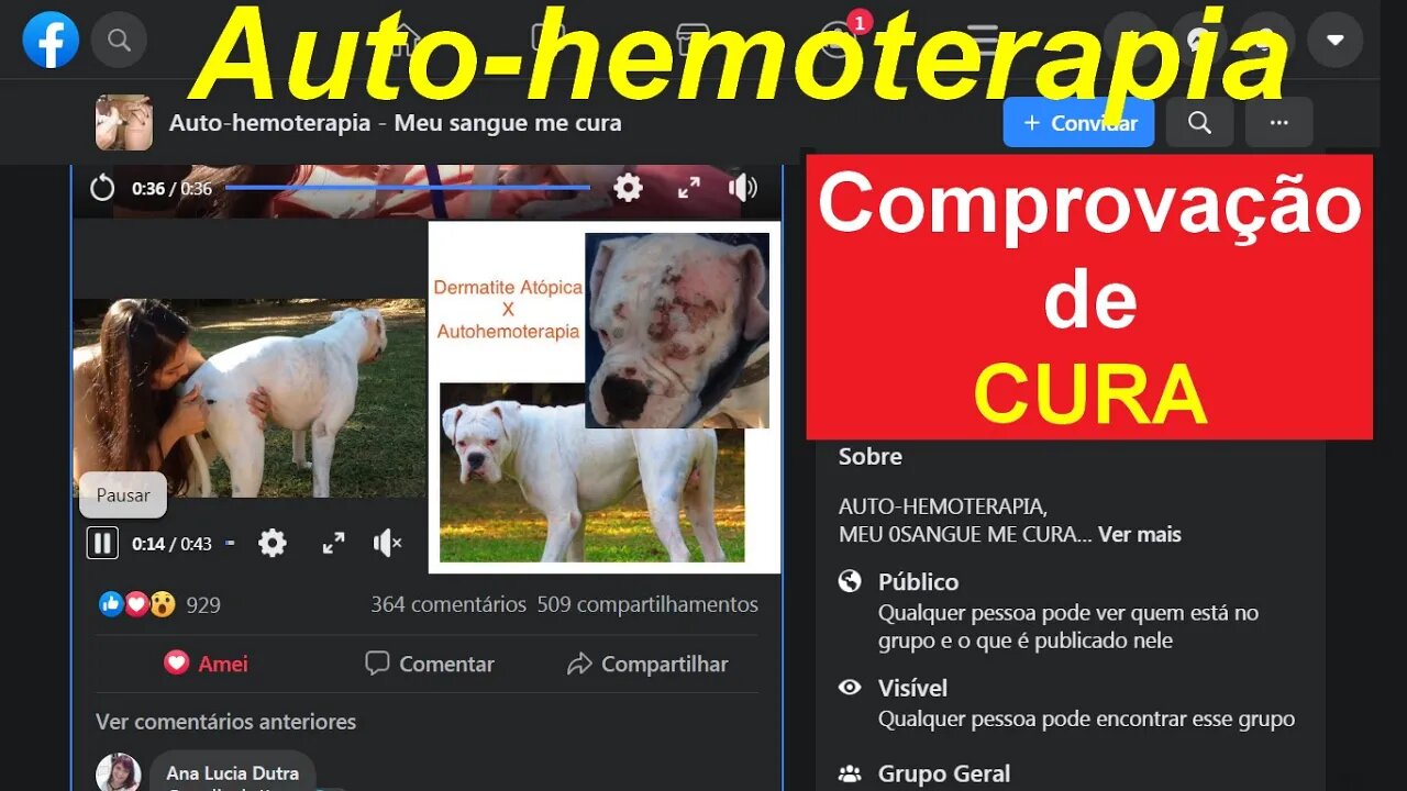 RELATO DE CASO COMPROVANDO A EFICÁCIA DA AUTO-HEMOTERAPIA EM DERMATITE ATÓPICA CANINA