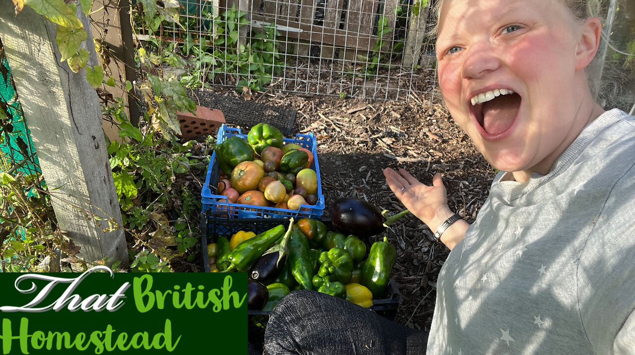 My Allotment October Harvest